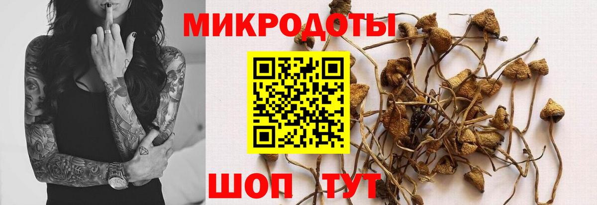 Псилоцибиновые грибы Psilocybe  Псилоцибиновые грибы мицелий  Вход с VPN  Киреевск 